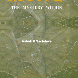 MIND THE MYSTERY WITHIN